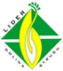lds logo
